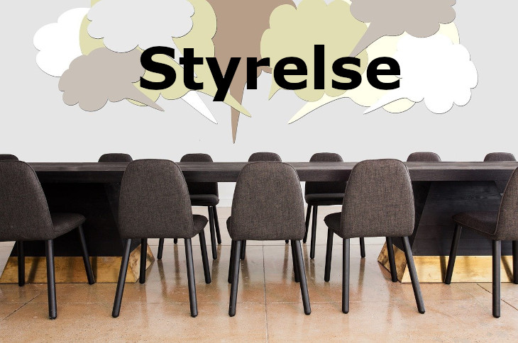 Styrelse